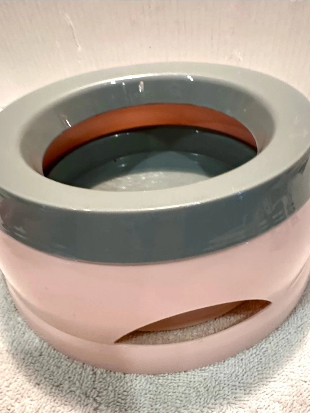 New pet water and slow feeder dish Bowl Set - for cat or dog 🐕